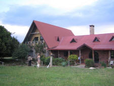 Kenya-Mount Kenya-Olea Africana Safari